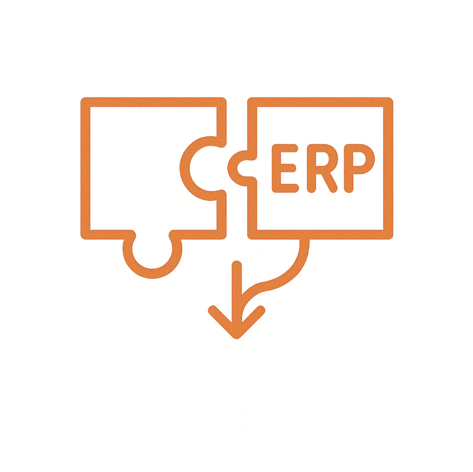 ERP and API Integration Services